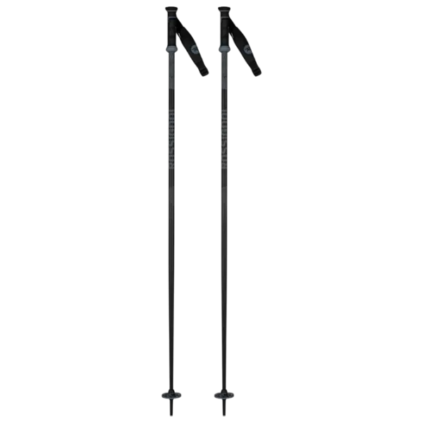 Bețe de ski unisex Rossignol Tactic JR Gray / Aluminiu photo 1