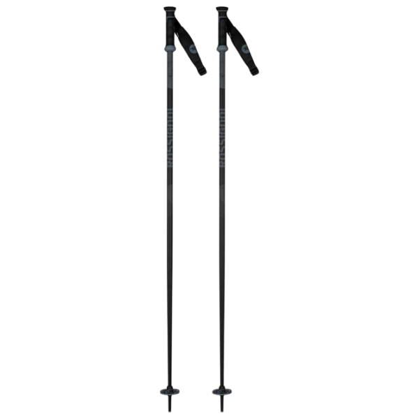 Bețe de ski unisex Rossignol Tactic JR Gray / Aluminiu photo 1