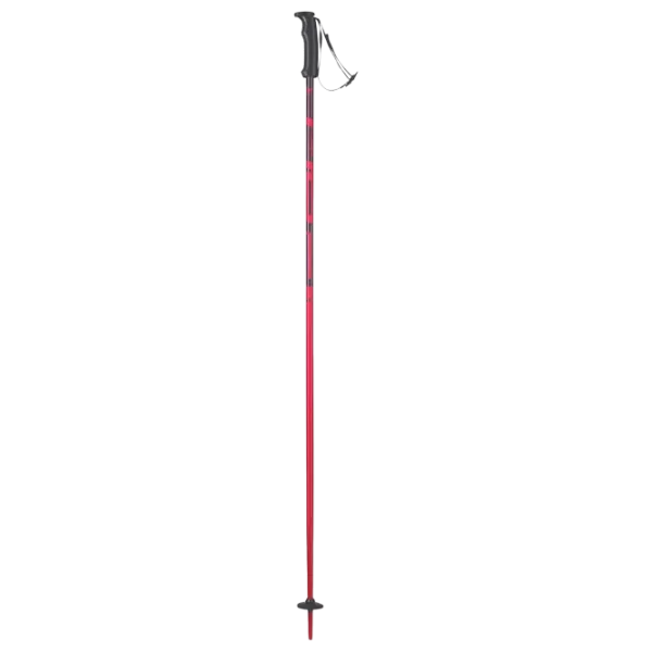 Bețe de ski unisex Elan Hot Rod Maroon W Red / Aluminiu photo 2