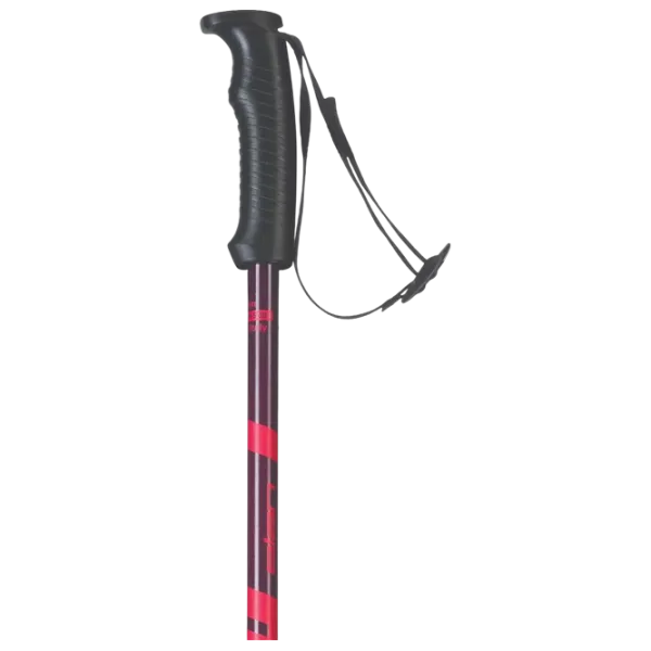 Bețe de ski unisex Elan Hot Rod Maroon W Red / Aluminiu photo 3