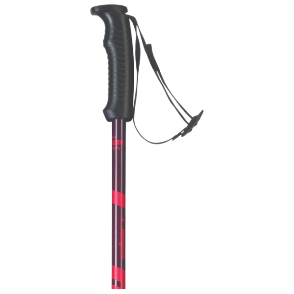Bețe de ski unisex Elan Hot Rod Maroon W Red / Aluminiu photo 3