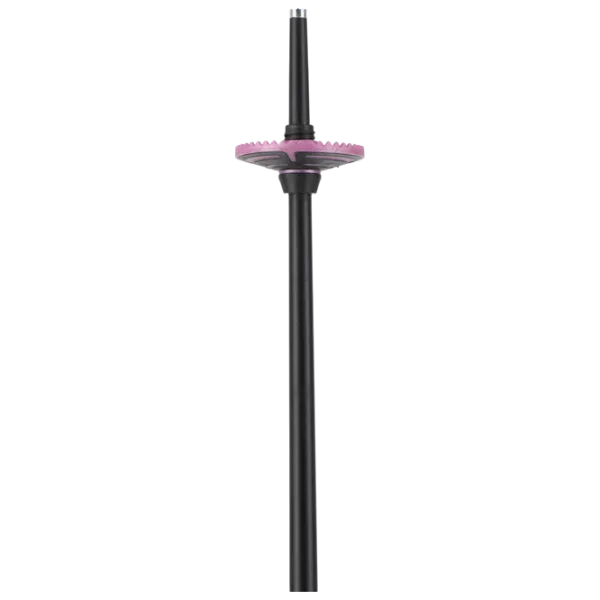Bețe de ski pentru femei Rossignol Electra Premium Purple / Aluminiu photo 2