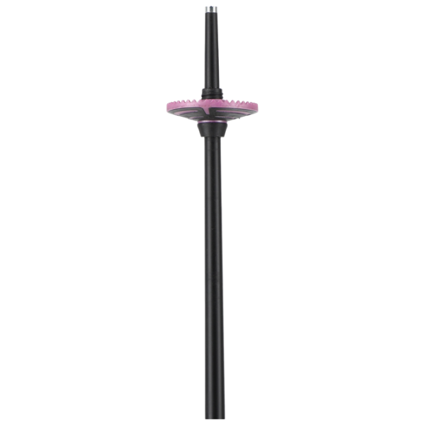 Bețe de ski pentru femei Rossignol Electra Premium Purple / Aluminiu photo 2