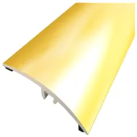 Напольный профиль Borck E-EK202-03-270 Золото / Алюминий