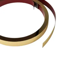 Profil pentru plăci ceramice Eviso PEGO-0110 Gold / Oțel