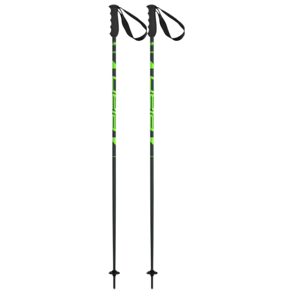 Bețe de ski unisex Elan Speed Rod Green / Aluminiu photo 1