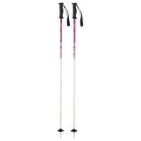 Bețe de ski unisex Elan Hot Rod JR Pink / Aluminiu