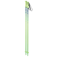 Bețe de ski unisex Elan Rock Rod JR Green / Aluminiu