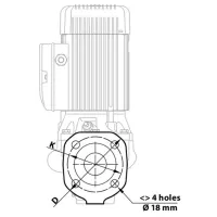 Pompă de suprăfață Pedrollo IN-LINE WR 50/125A 2200 W 42000 l/h photo 5