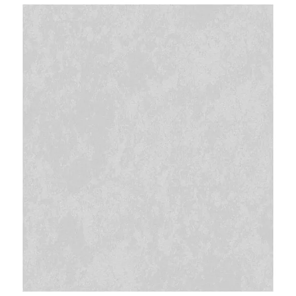 Tapete Parato GALATEA Grey / Tencuială  photo 1