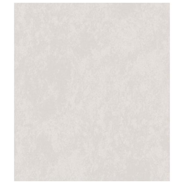 Обои Parato GALATEA Grey / Штукатурка photo 1