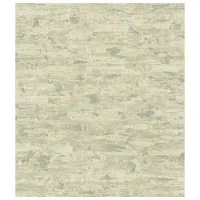 Обои Parato Aria Beige Green / Имитация