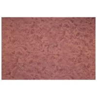 Tapete A.S. Palitra Vin gor tisn fliz osn Bordo / Divers