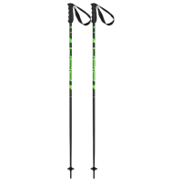 Bețe de ski unisex Elan Speed Rod Green / Aluminiu