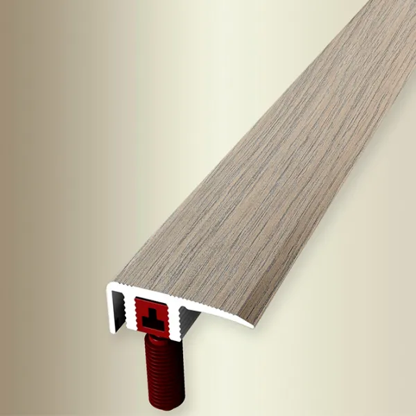 Profil pentru podea Parkett-Freund PF 587 DH H62 Oak / Aluminiu photo 2