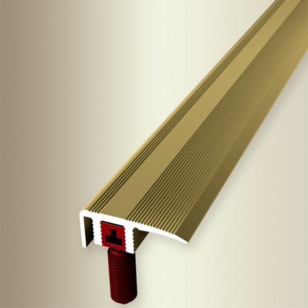 Profil pentru podea Parkett-Freund PF 587 D F5 Gold / Aluminiu photo 3