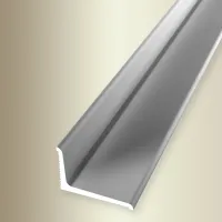 Напольный профиль Parkett-Freund PF 369 N/SK Серебряный / Алюминий photo 2