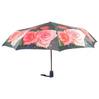 Umbrelă Iris Wish UB-172 Mecanic / Verde-Roșu
