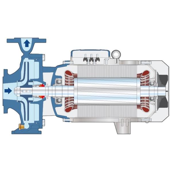 Pompă de suprăfață Pedrollo EN 733 F 40/125C 1100 W 33000 l/h photo 2