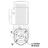 Pompă de suprăfață Pedrollo IN-LINE WR 40/125-SA 750 W 18000 l/h photo 6