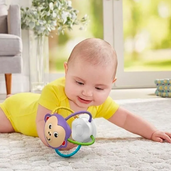 Интерактивная игрушка Fisher Price FVF42  0+ / Разноцветный photo 6