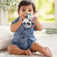 Jucărie interactivă Fisher Price FVF42 0+ / Multicolor photo 7