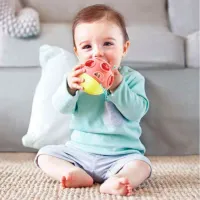 Jucărie interactivă Hape E8522 0+ / Multicolor photo 6