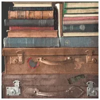 Обои Grandeco Exposed Разноцветный / Имитация