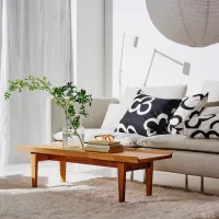 Журнальный столик Ikea Guttane 5786623 Коричневый photo 5