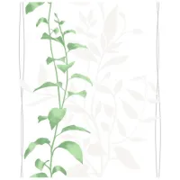 Tapete Grandeco Intuition White / Floristică