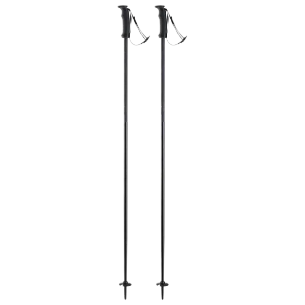 Bețe de ski unisex Elan Speed Rod Black / Aluminiu photo 1
