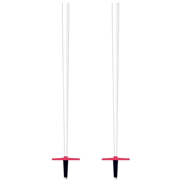 Лыжные палки для женщин Elan Electra Light Белый / Алюминий photo 4