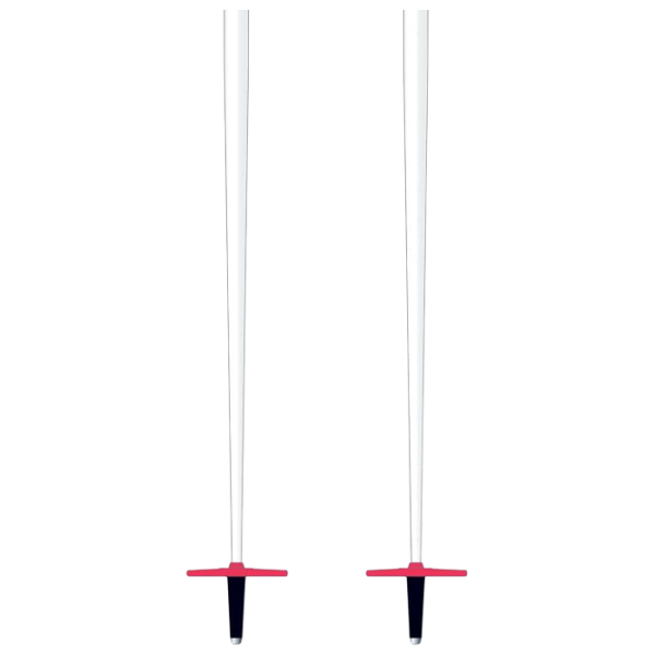 Лыжные палки для женщин Elan Electra Light Белый / Алюминий photo 4
