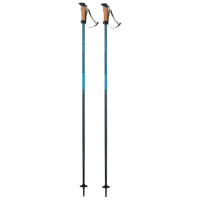 Bețe de ski unisex Elan Speed Rod W Blue / Aluminiu