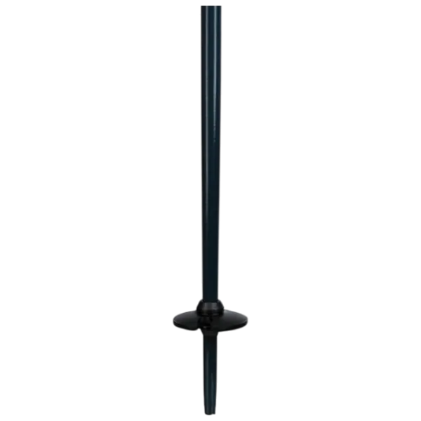 Bețe de ski unisex Elan Speed Rod W Blue / Aluminiu photo 3