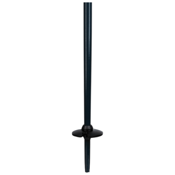 Bețe de ski unisex Elan Speed Rod W Blue / Aluminiu photo 3