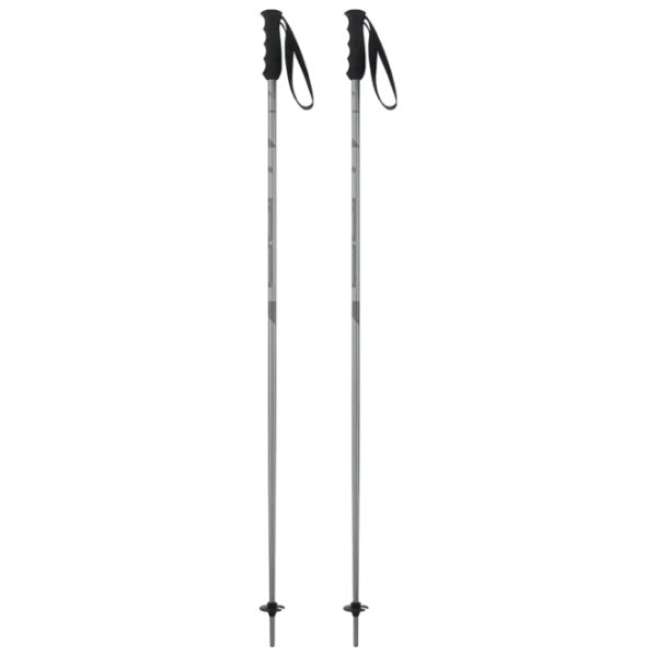 Лыжные палки унисекс Elan Speed Rod Серый / Алюминий photo 1