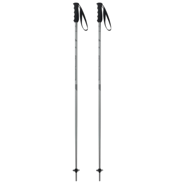 Лыжные палки унисекс Elan Speed Rod Серый / Алюминий photo 1