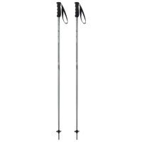 Bețe de ski unisex Elan Speed Rod Gray / Aluminiu