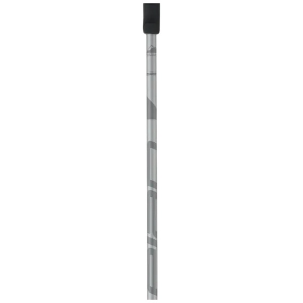 Лыжные палки унисекс Elan Speed Rod Серый / Алюминий photo 2