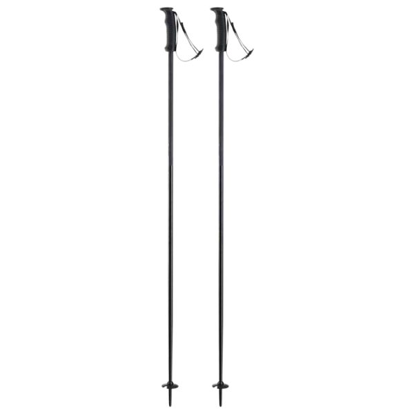 Bețe de ski unisex Elan Speed Rod Black / Aluminiu photo 1