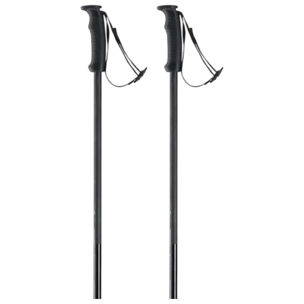 Bețe de ski unisex Elan Speed Rod Black / Aluminiu photo 2