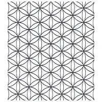 Обои Parato Amazonia Белый Черный / Геометрический