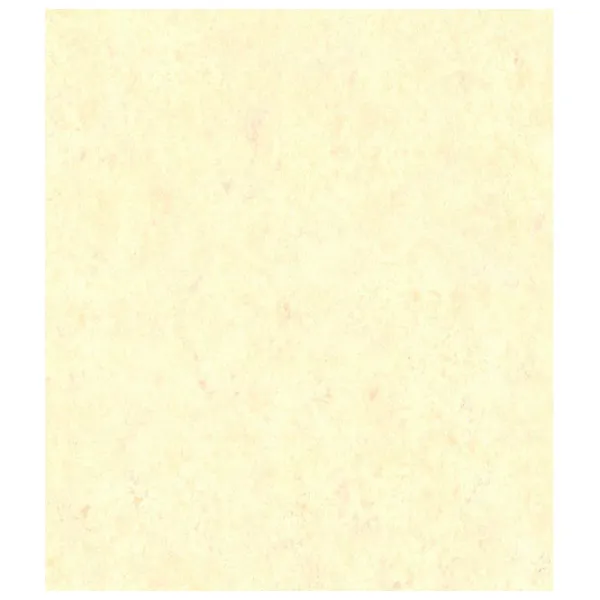 Обои Grandeco Chic All Over Бежевый / Штукатурка photo 1