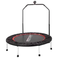 Фитнес батут Insportline IN7199 4343  / Черный / Диаметр - 140 см