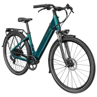 Bicicletă electrică FIIDO C11 27.5" / Blue photo 3