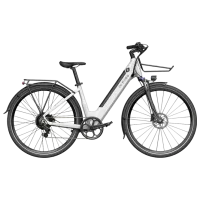 Bicicletă electrică FIIDO C11 27.5" / White photo 2