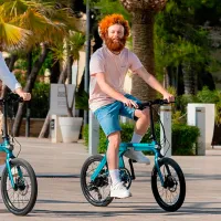 Bicicletă electrică FIIDO X 20" / Blue photo 9