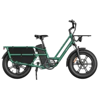 Bicicletă electrică FIIDO T2 20"  / Green