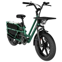 Bicicletă electrică FIIDO T2 20" / Green photo 2